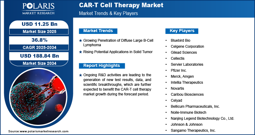 CAR-T Cell Therapy